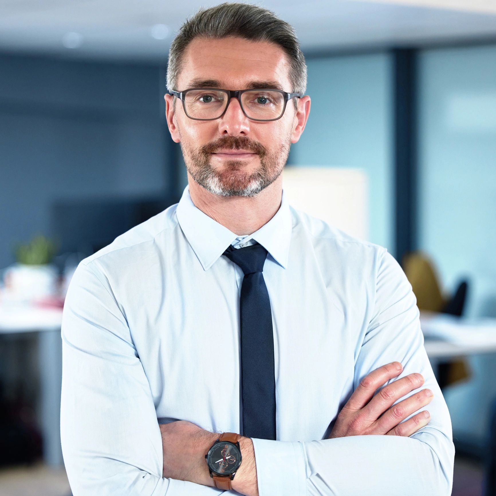 Professional business consultant portrait
